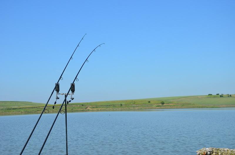 Sarulesti - Mai 2013 - andrei-vladeanu-pescuit-sarulesti-26.JPG